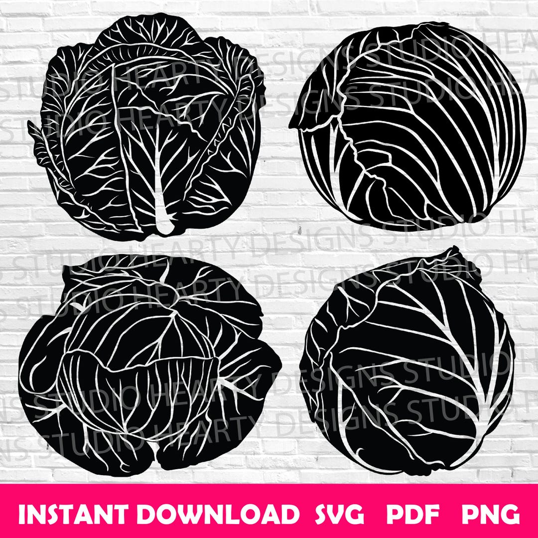 Cabbage SVG Bundle: Cut Files for Silhouette Cricut (digital Download ...