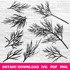 Dill svg Dill herb svg Dill Cricut Dill Clipart Dill Vector Dill svg cut files Dill svg bundle Dill silhouette Dill twigs svg Dill leaf svg