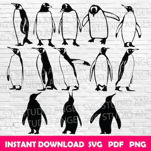 Penguin svg Penguins svg Penguin Cricut Penguin svg bundle Penguin svg cut files Penguin silhouette Penguin vector Penguin clipart Penguins