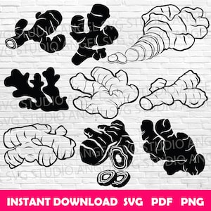 May include: A set of eight black and white vector illustrations of ginger root. The illustrations show different views of the ginger root, including whole roots, sliced roots, and pieces of ginger.