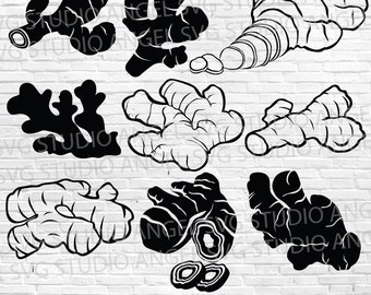 Ginger SVG Bundle: Cricut Cut Files, Clipart (Digital Download)
