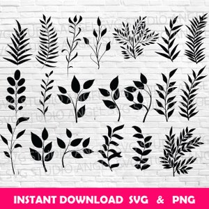Leaves svg Leaves svg cut files Leaves Cricut svg Leaves Clipart Leaf Vector Herbs svg cut files Leaves svg bundle Leaves silhouette svg cut