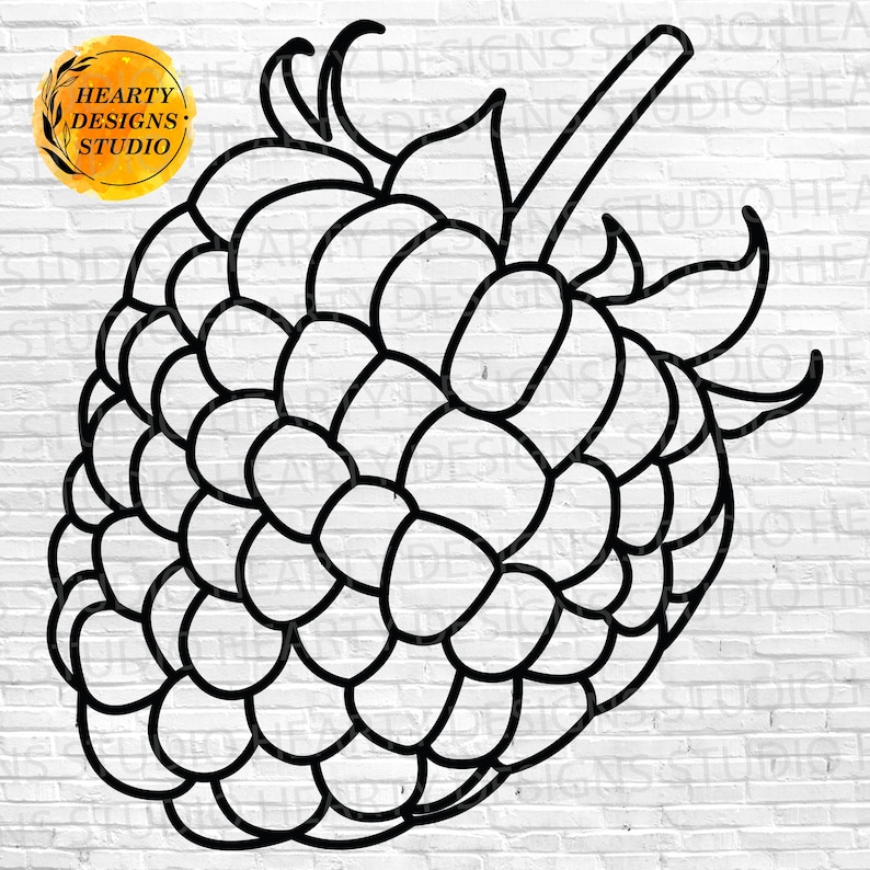 Black Raspberry Svg Raspberry SVG Bundle: Cut Files for Silhouette Cricut (digital Download ...