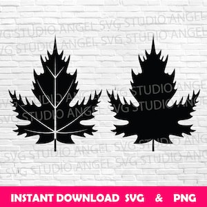 Foglia d&#39;acero SVG: file di taglio, clipart, vettore (download digitale)
