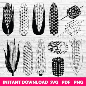 Puede incluir: Un conjunto de 10 archivos de corte SVG de maíz en la mazorca en blanco y negro. El maíz se muestra en varios estilos, incluyendo mazorcas enteras, granos de maíz y maíz en un palo.