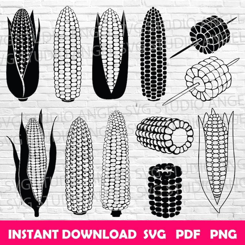 Vector File Corn Corn Svg Corns Svg Corn Cricut Svg Corn Clipart Svg Corn Vector Svg ...