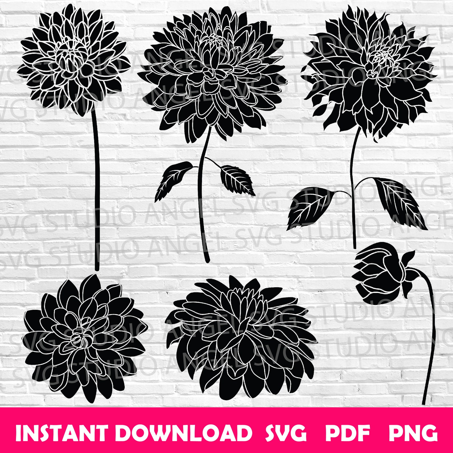 Dahlia Svg Dahlia Cricut Svg Dahlia Clipart Dahlia Vector Dahlia Svg