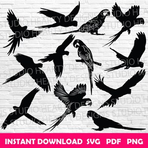 May include: A digital download graphic featuring multiple parrot designs in various poses. Some are silhouettes, while others show detailed feather patterns. The image includes the text "INSTANT DOWNLOAD SVG PDF PNG" in a pink banner.