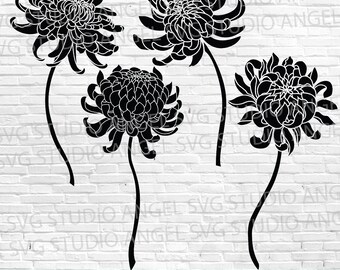Chrysanthemum SVG: Cut Files For Silhouette Cricut (Digital Download)