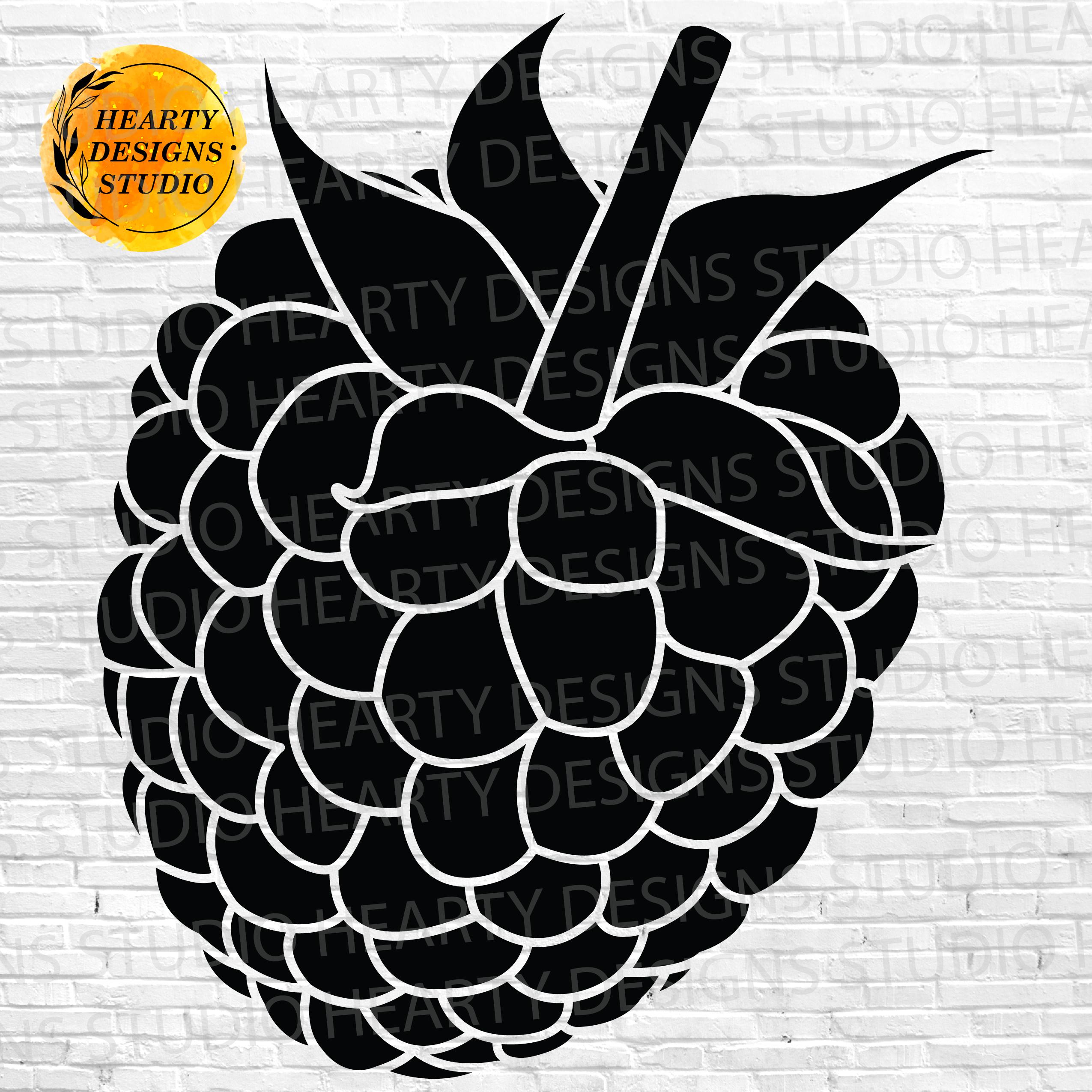 Raspberry SVG Bundle: Cut Files for Silhouette Cricut (digital Download ...