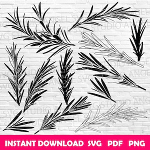 Rosemary Leaf SVG Bundle: Herb Silhouette Vector Cut Files (Digital Download)