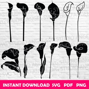 May include: Black and white calla lily flower vector graphics. The image features various stylized calla lily designs with long stems and curved petals. The text "INSTANT DOWNLOAD SVG PDF PNG" is at the bottom.