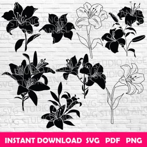 Lily svg Lily Cricut Lily Clipart Lily Vector Lily flower svg Lily silhouette Lily svg cut file Lily svg bundle Lilies svg Lilies svg bundle