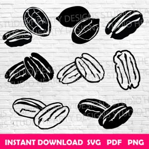 May include: Black and white illustrations of pecans in various arrangements. Some are whole, others are halved or shelled, showcasing the nut's texture. The image includes the text "INSTANT DOWNLOAD SVG PDF PNG" in a pink banner at the bottom.