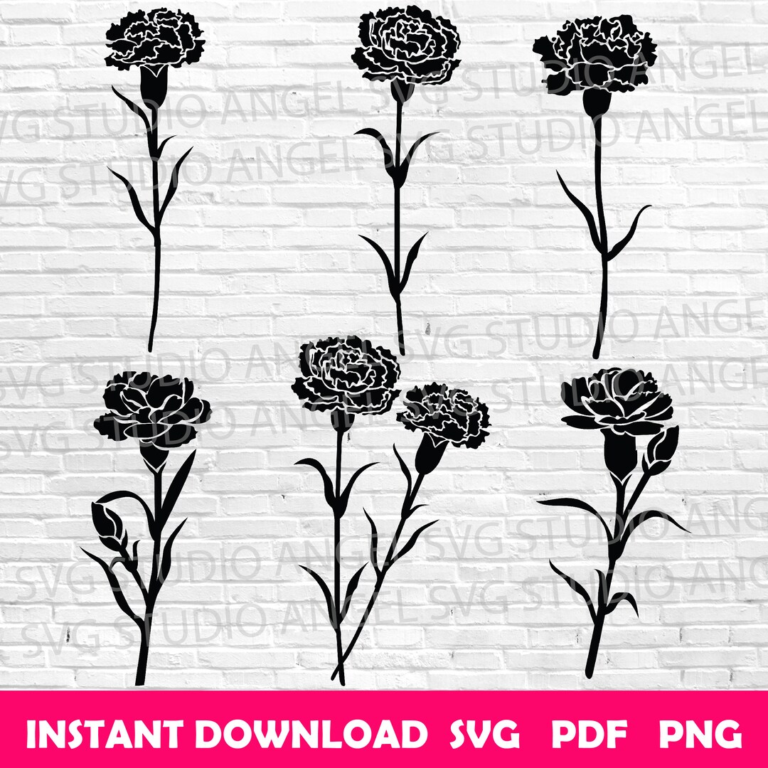Carnations Svg Carnation Svg Carnation Flower Carnation Cricut Svg