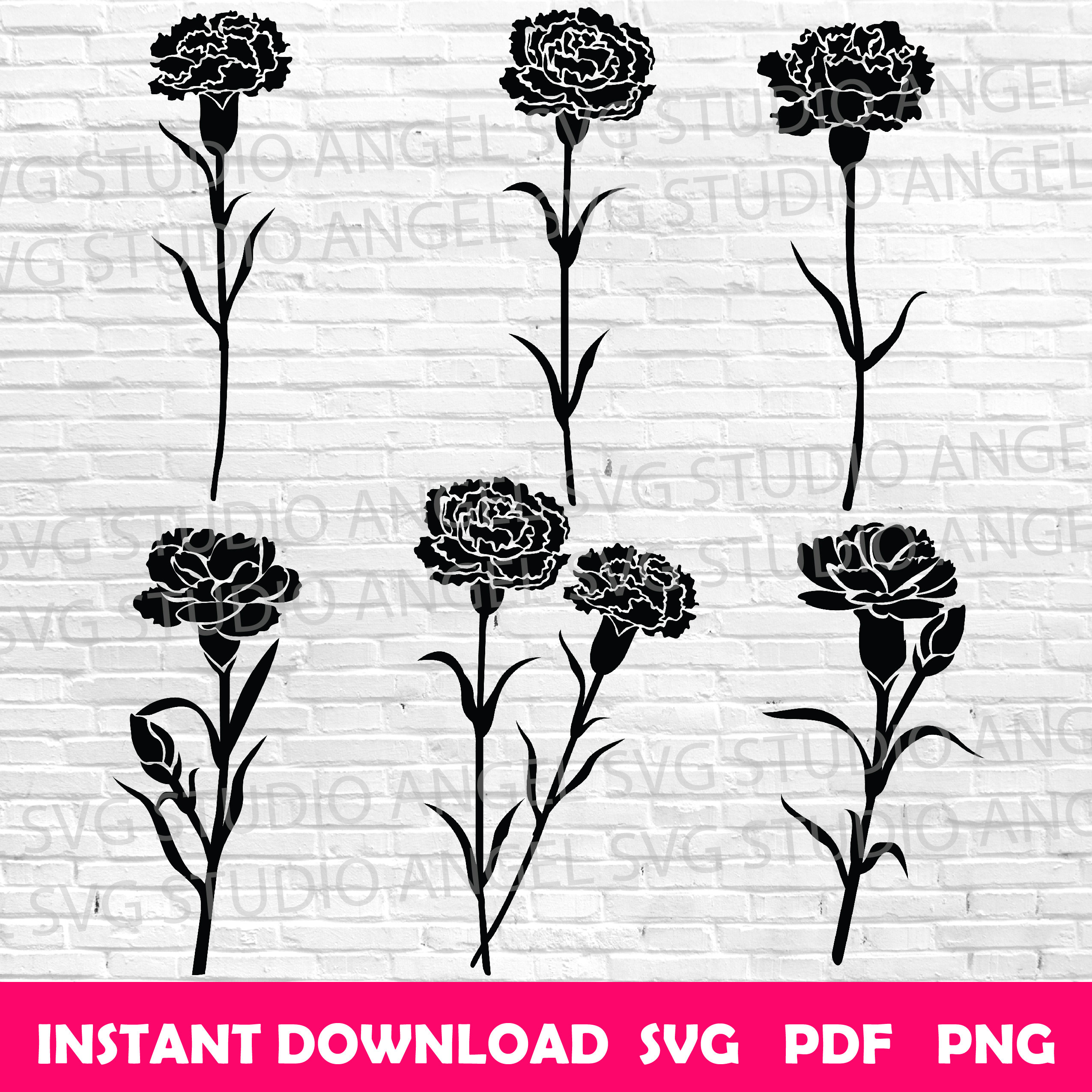 Carnations Svg Carnation Svg Carnation Flower Carnation Cricut Etsy