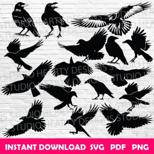 Crow & Raven Silhouette Vector Bundle (SVG, PDF, PNG)
