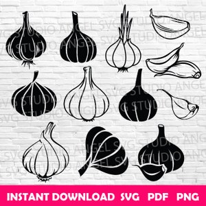 Ajo svg Diente de ajo svg Ajo Cricut Archivo de corte de ajo svg Vector de ajo Paquete de svg de ajo Silueta de ajo Clipart de ajo Ajos svg