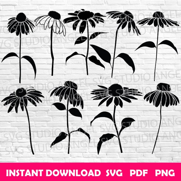 Coneflower svg Coneflower Cricut Coneflower Clipart Coneflower Vector Coneflower svg cut files Coneflower silhouette Coneflower svg bundle