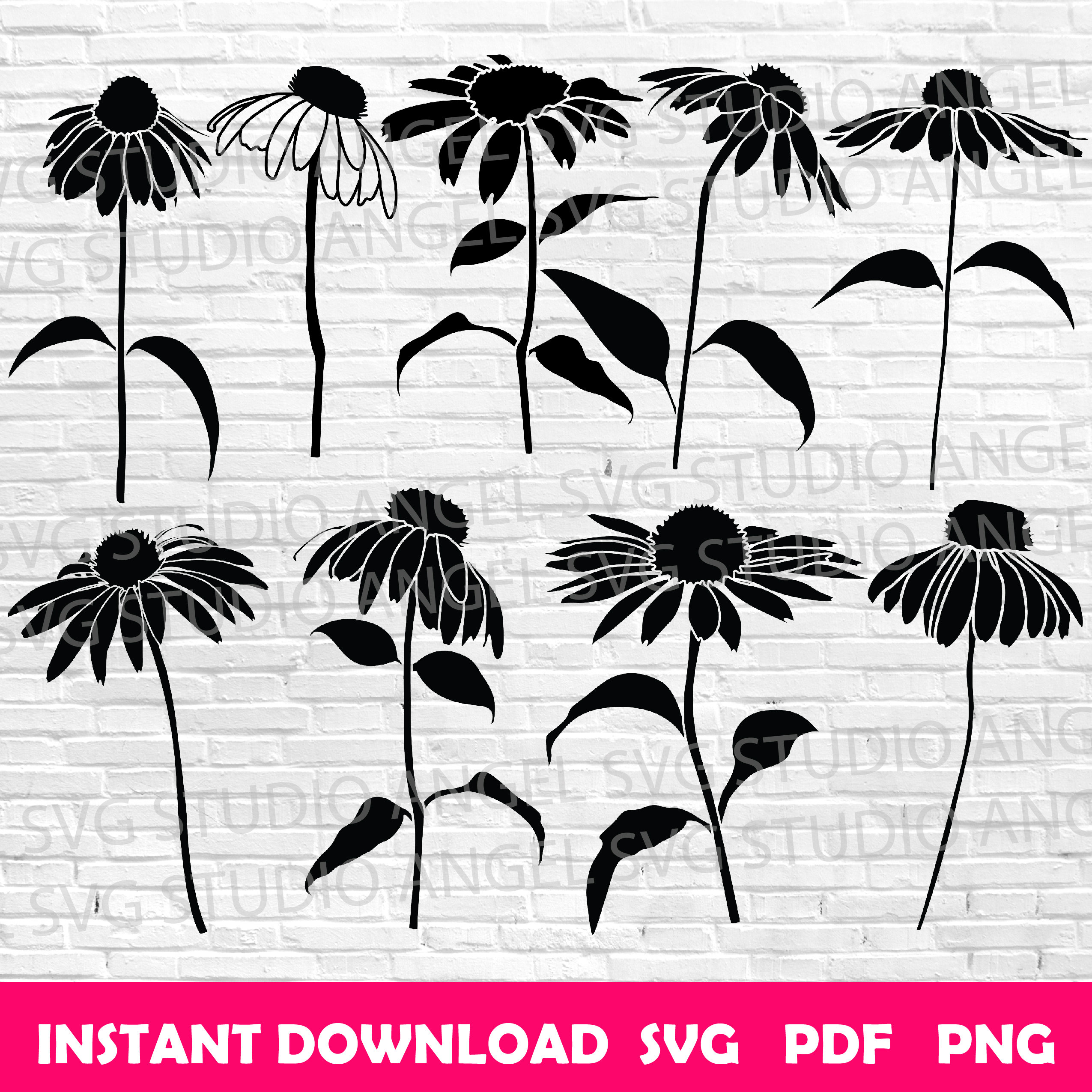 Coneflower Svg Coneflower Cricut Coneflower Clipart Coneflower Vector