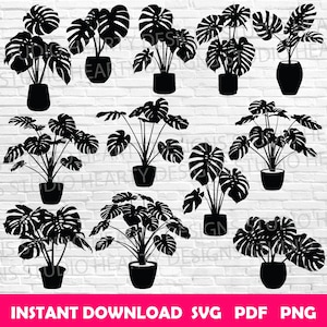 Peut inclure: Images de silhouettes noires de plantes Monstera en pot. Les plantes ont de grandes feuilles fendues et sont dans divers pots noirs. Le texte "INSTANT DOWNLOAD SVG PDF PNG" est inclus.
