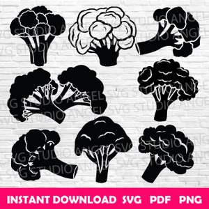 Bundle svg brocoli brocoli Cricut brocoli svg silhouette brocoli brocoli svg coupe fichiers clipart brocoli vecteur brocoli brocoli végétarien