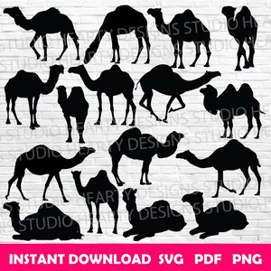 Camel svg Camel Cricut Camel Clipart Camel Vector Camel silhouette Camel svg cut files Camel svg bundle Desert Camel svg Camel animal svg