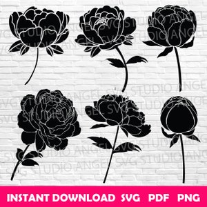 Peony svg Peonies svg Peony Cricut svg Peony svg cut files Peony Vector svg files Peony flower svg Peony silhouette svg Peony svg bundle