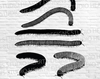 Millipede SVG Bundle: Clipart, Vector, Cut Files (Digital Download)