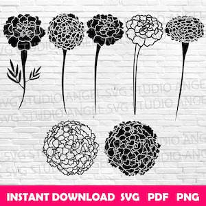 Marigold Flower SVG Bundle: Cricut Clipart Vector (Digital Download)