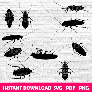 May include: A set of eight black silhouette images of cockroaches. The cockroaches are in various poses, including crawling, running, and standing. The images are perfect for use in crafts, scrapbooking, or digital design.