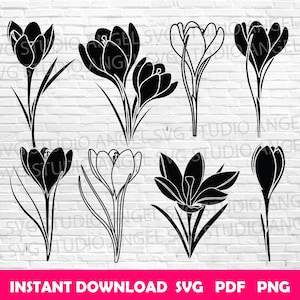 Krokus svg krokus Cricut svg krokus svg gesneden bestanden krokus vector svg krokus bloem svg krokus silhouet svg krokus svg bundel krokus clipart