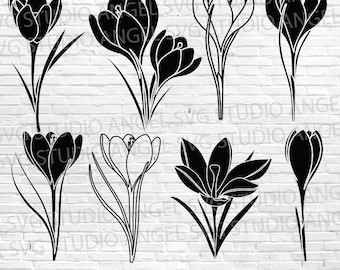 Crocus Flower SVG Bundle: Cricut Cut Files, Clipart (Digital Download)