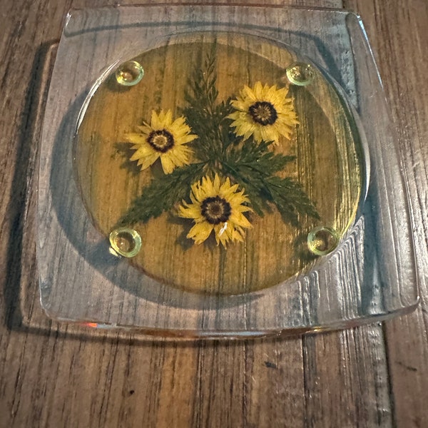 Set of Dried Flower Coasters