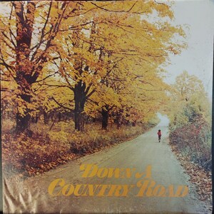 Disco de vinilo vintage &quot;Varios: Down A Country Road&quot; Columbia