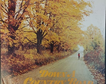 Vintage Schallplatte “ Verschiedenes – Down A Country Road” columbien