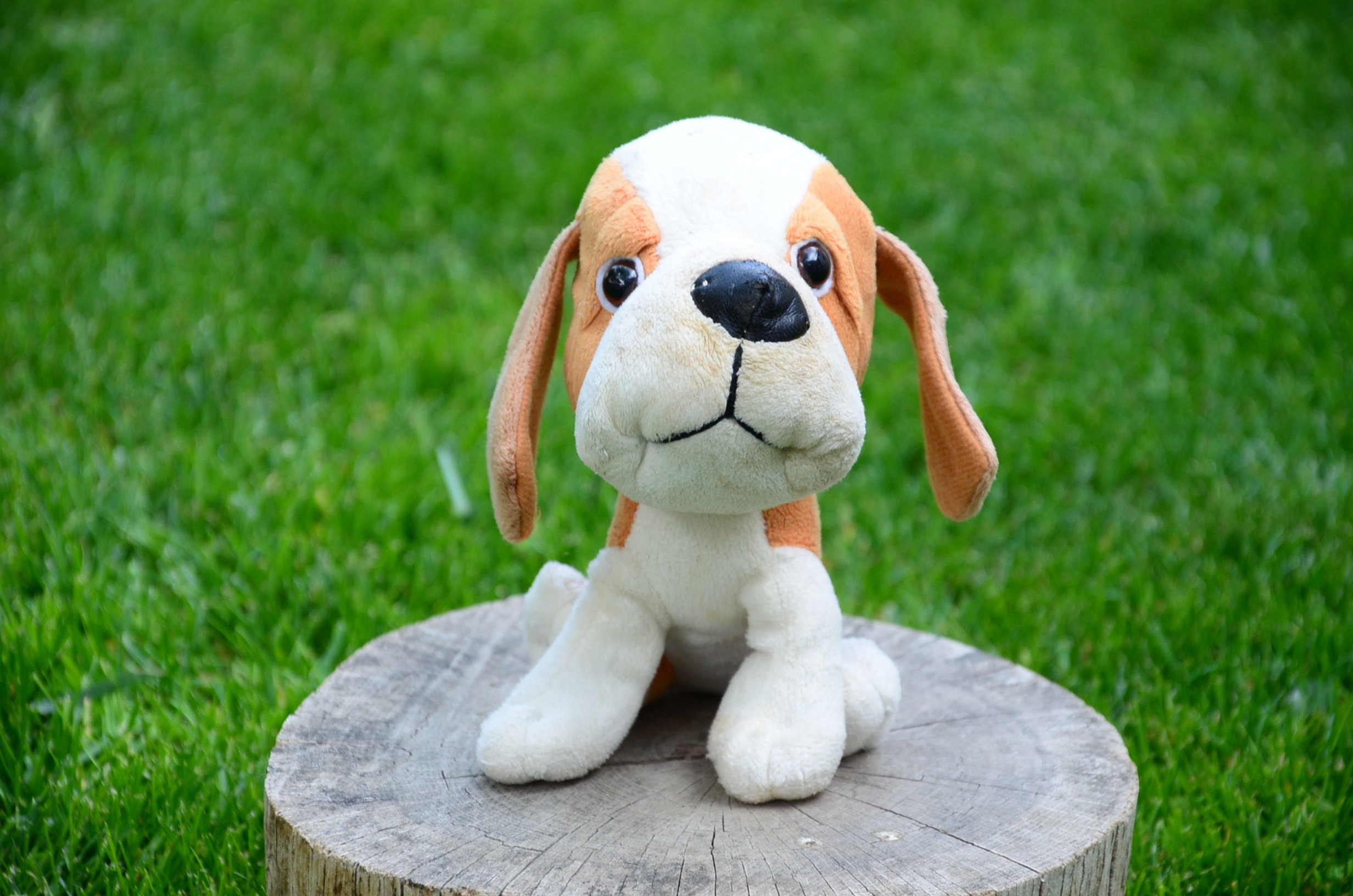 old stuffed dog