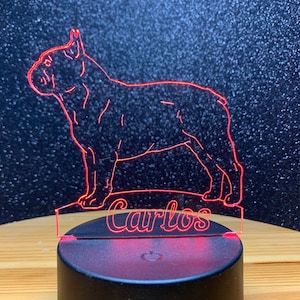 Night light French bulldog personalized with your desired name. Remote control included. As a decorative light for all Bully friends