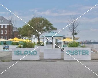 Island Oyster