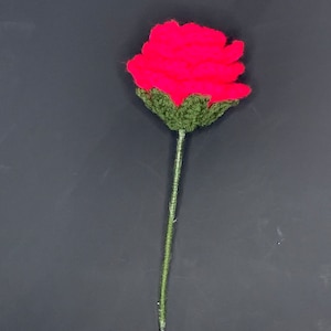 Crochet Rose