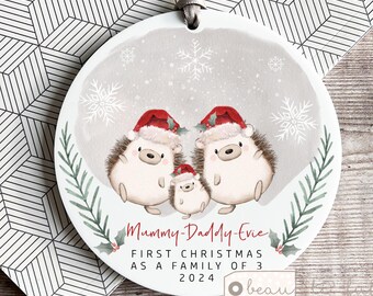 Personalised 1st First Christmas as a family gift of 3 4 5 Santa Hedgehog Mummy Daddy Mammy Mommy Ornament Keepsake Tree decoration Bauble