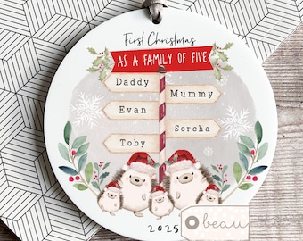 Personalised 1st First Christmas as a family of five 3 4 5 6 Family Christmas gift Hedgehog Mummy Daddy Bauble Ornament Keepsake Tree