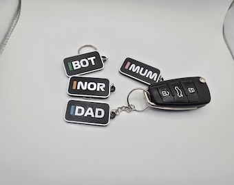 Llavero de piloto de F1 / Etiqueta de piloto de Fórmula 1 / Llavero de equipo de F1 / Etiqueta de piloto de F1 personalizable / Accesorios / Regalo para amantes de la F1 / Regalo de F1