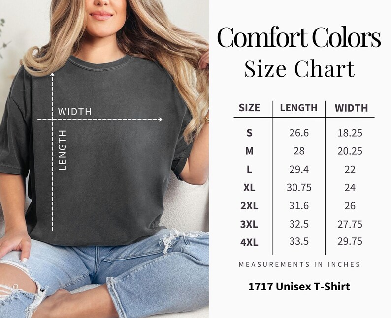 Silly Goose Pregnancy Shirt,Pregnancy Announcement to Husband, First Time Mom Gift,Comfort Colors Pregnancy Shirt,Expecting Mom Gift Bild 10
