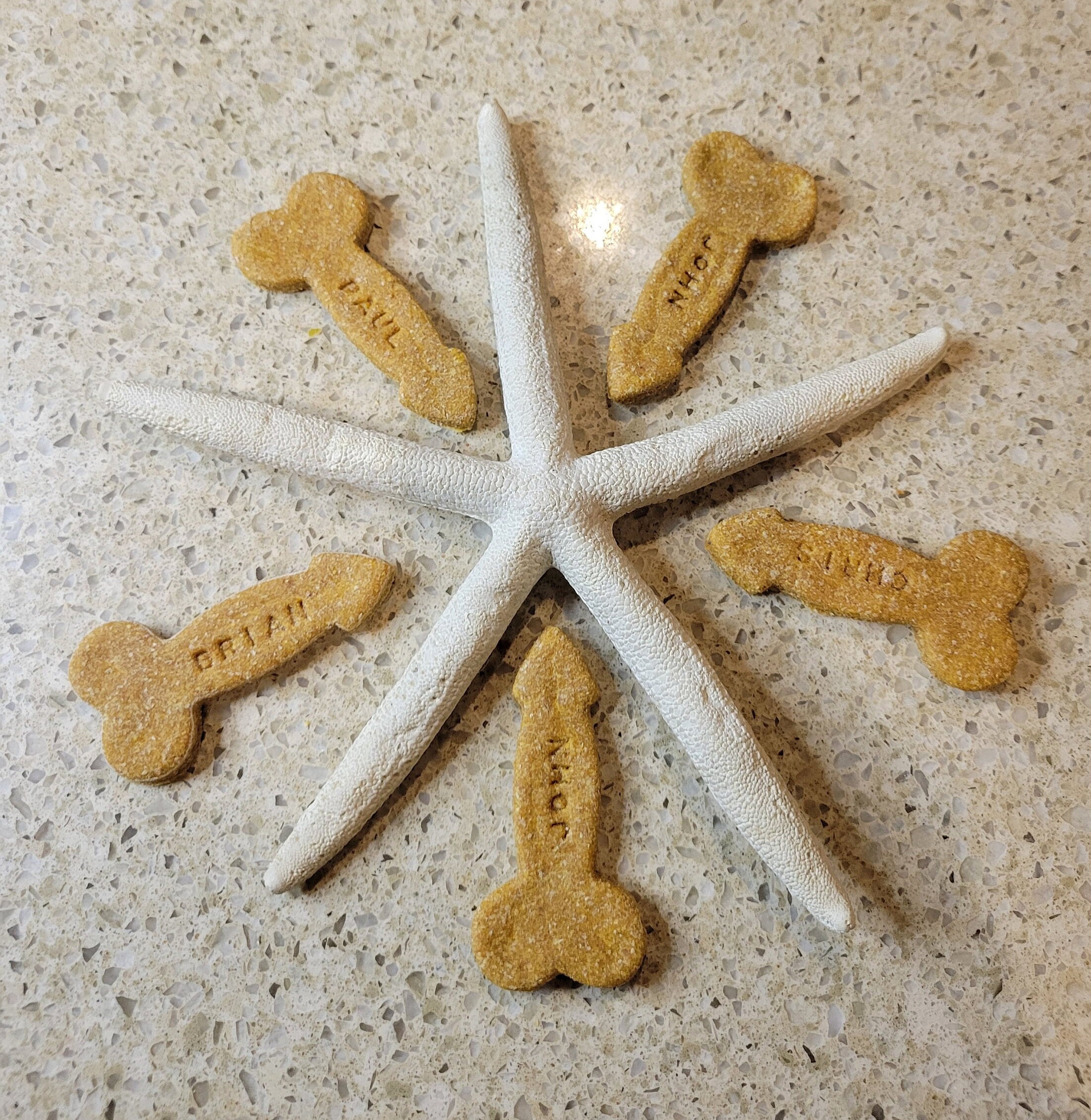 Personalized Penis Shaped Dog Treats, Dog Gift, Homemade , Pumpkin and Peanut Butter, Break-up, Funny Dog Treats, Dog Lovers, Gag Gift