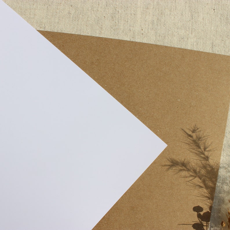 May include: A white piece of paper sits on top of a brown piece of paper. The brown paper has a shadow of a plant on it.