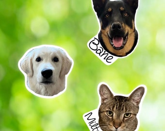 Pet Photo Sticker, Dog Photo Sticker, Cat Photo Sticker, Vinyl Sticker, Water Bottle Sticker, Laptop Sticker, Die Cut Sticker