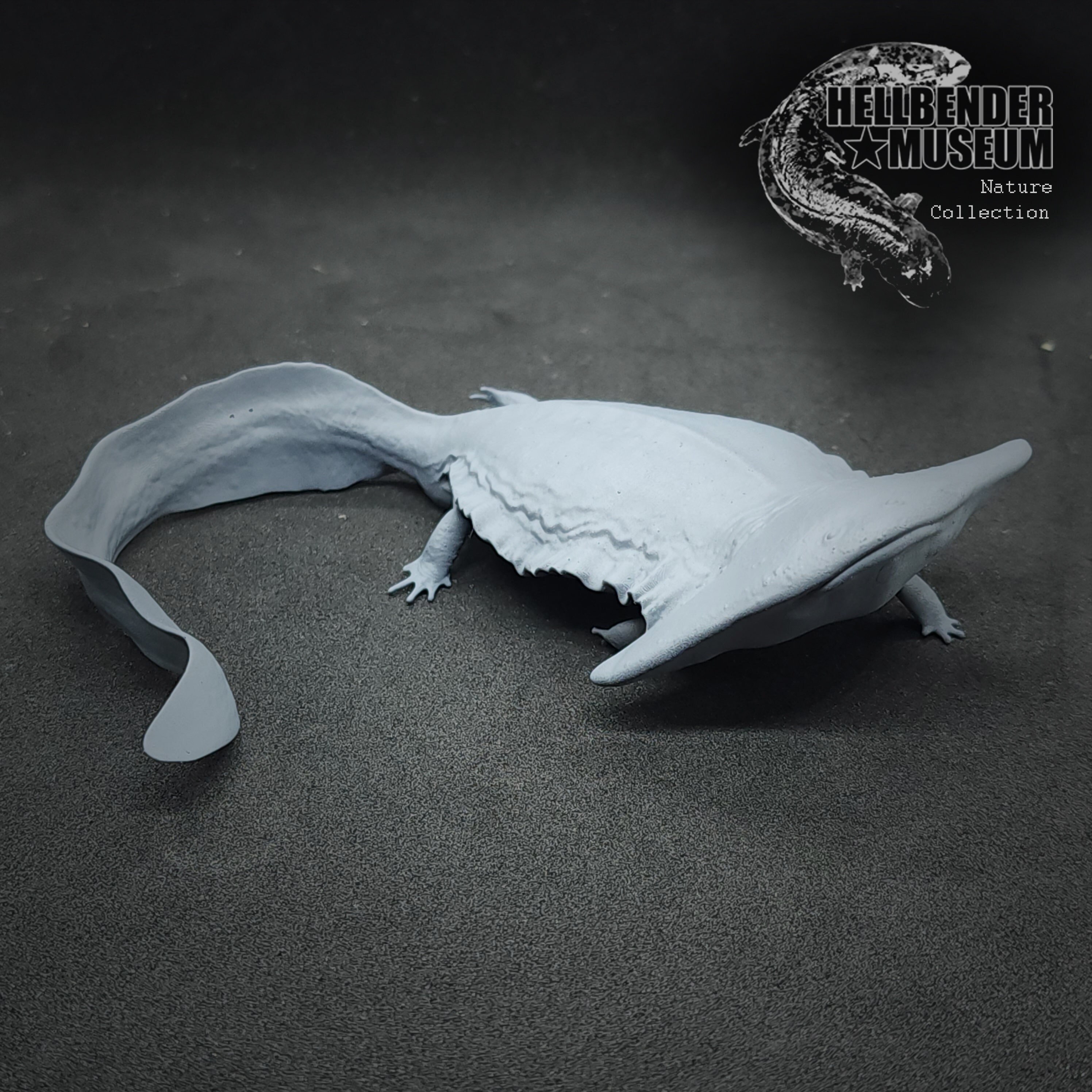 Diplocaulus diplocaulus Magnicornis Figure Unpainted - Etsy
