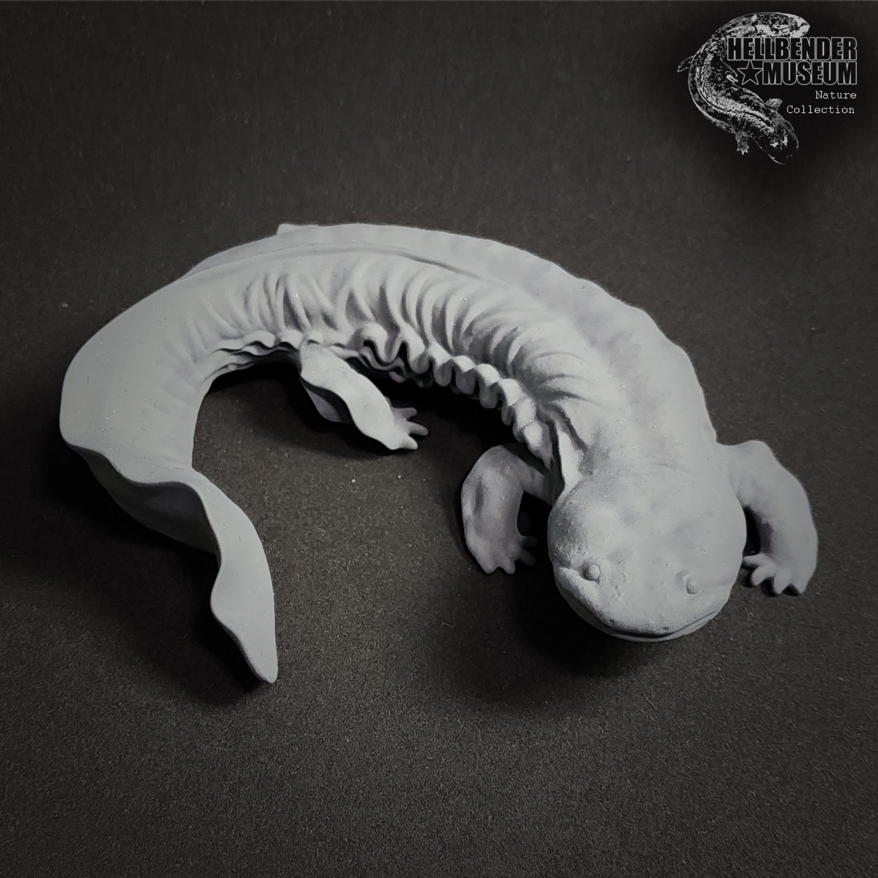 Hellbender Salamander cryptobranchus Alleganiensis Figure Half Life Size  Unpainted 