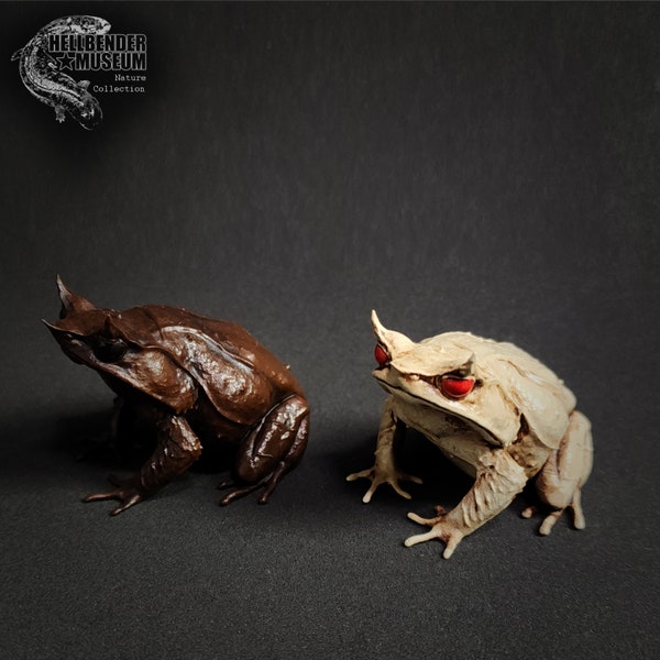 Malayan Horned Frog (Pelobatrachus nasutus) Figure Half Life Size Ivory/Boxwood Finish